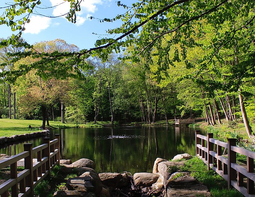 Waveny Park in New Canaan Pond Spring Time