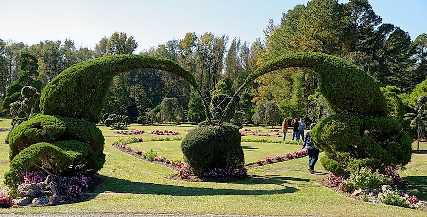 Pearl Fryar Topiary Garden, Bishopville, SC