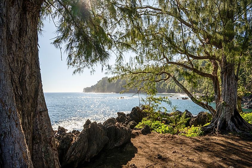 Laupahoehoe Point Beach Park northeast of Big Island Hawaii