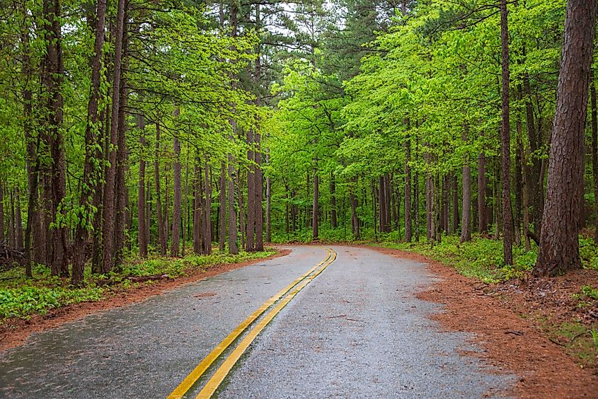 The Winding Road at Talimena Scenic Drive, National Scenic Byway