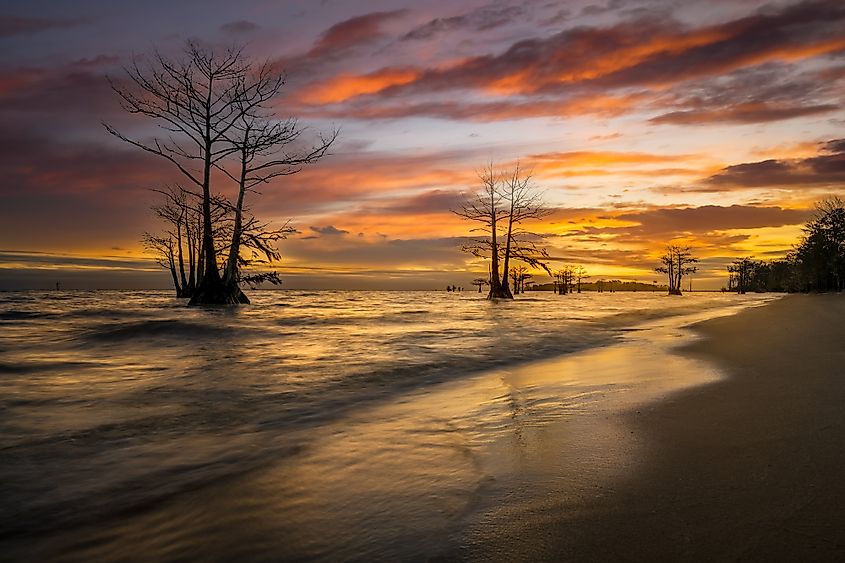 Sunrise over Lake Moultrie