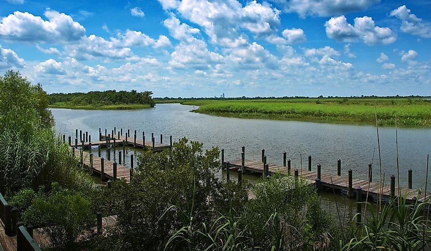 Overlooking the Mobile Tensaw Delta.