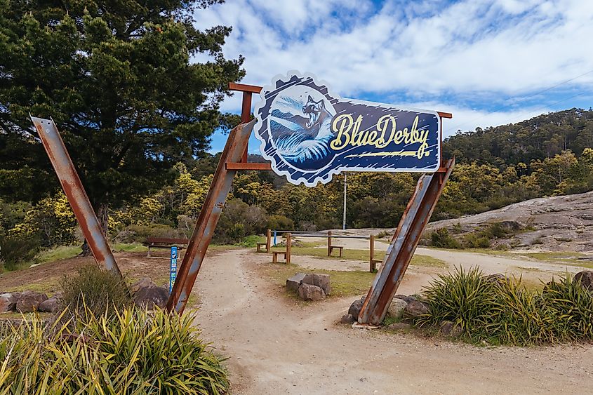 The popular and iconic Blue Derby mountain bike trail network during springtime in Derby, Tasmania, Australia.
