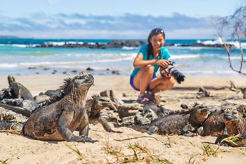 Ecuador wildlife