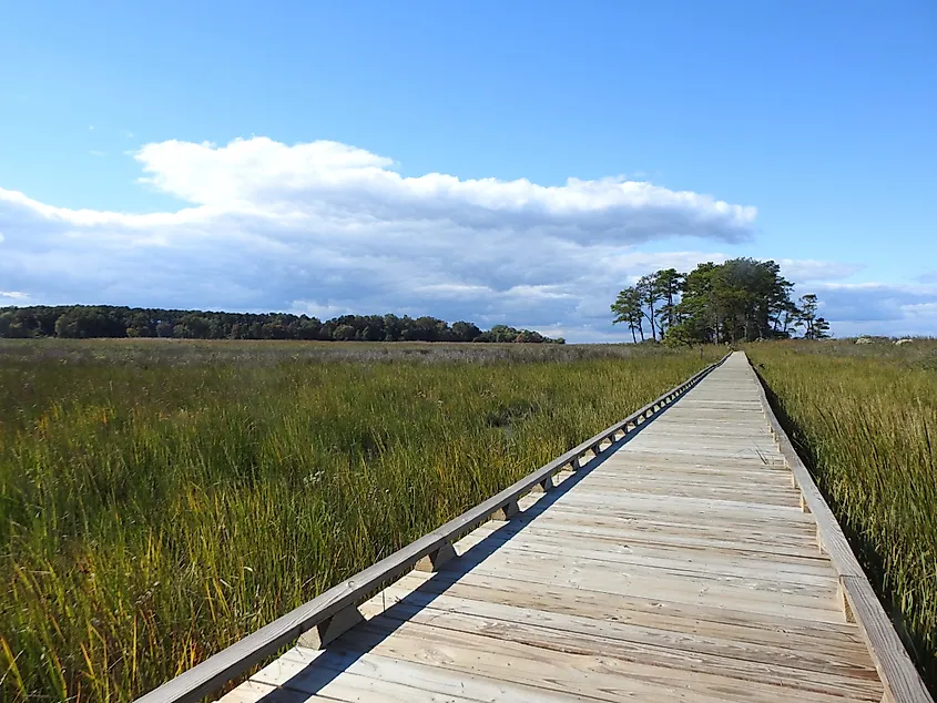 Eastern Neck National Wildlife Refuge