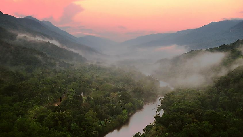 Dramatic dawn at Atlantic rain forest in Serra do Mar, Sao Paulo, Brazil.