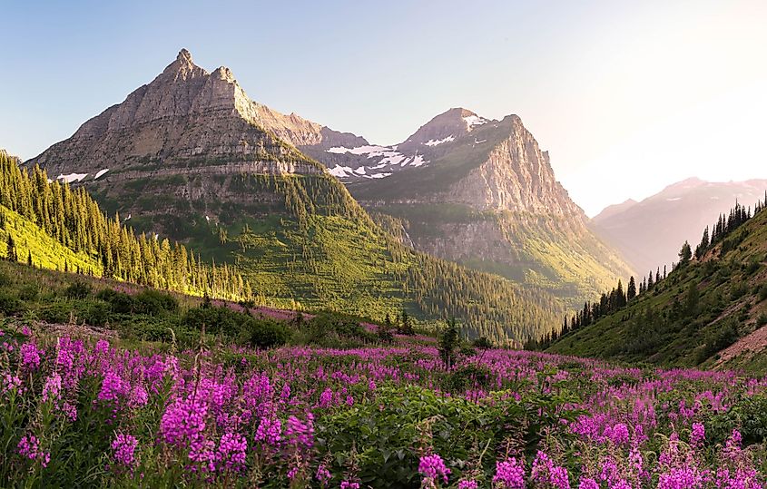 Glacier National Park