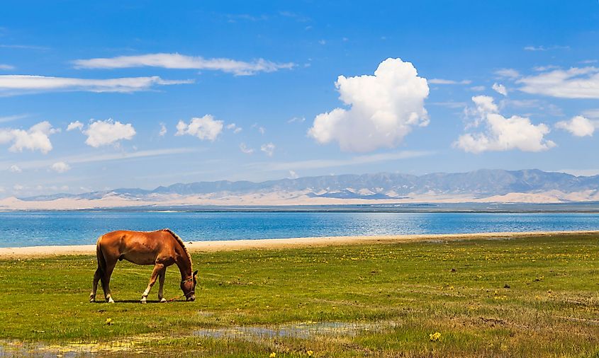 Qinghai Lake