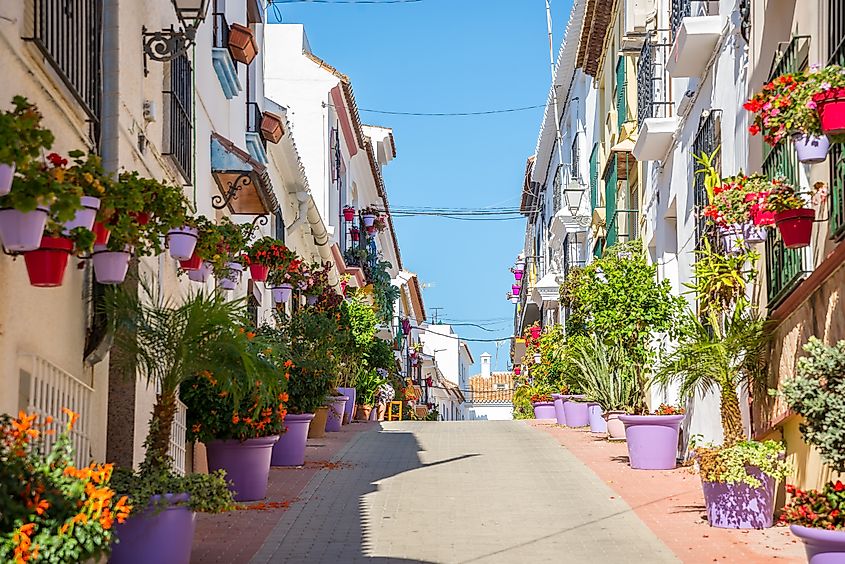 A typical street in old Estepona with colorful flower pots.