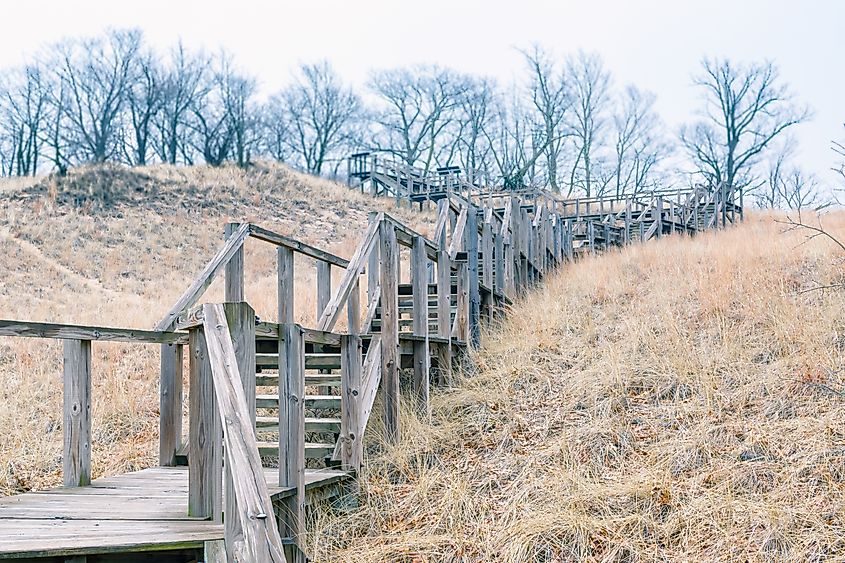 A staircase ascending Mt. Tom at Indiana Dunes State Park.