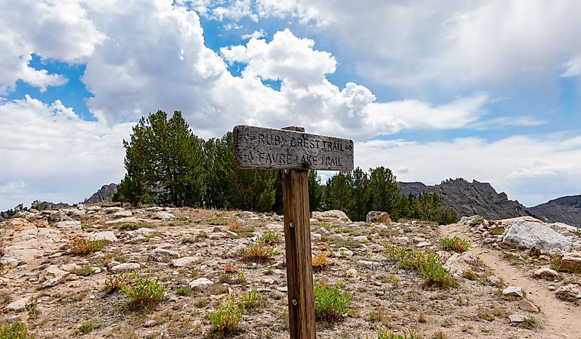 Sign of the Ruby Crest Trail and Favre Lake Trail at Ruby Mountain, Nevada