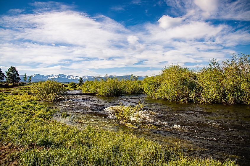 Riparian area along Fraser river in Colorado