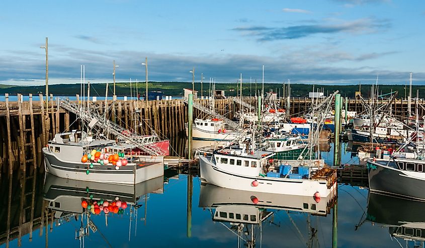 Fishing boats in harbor at low tide in Digby, Nova Scotia