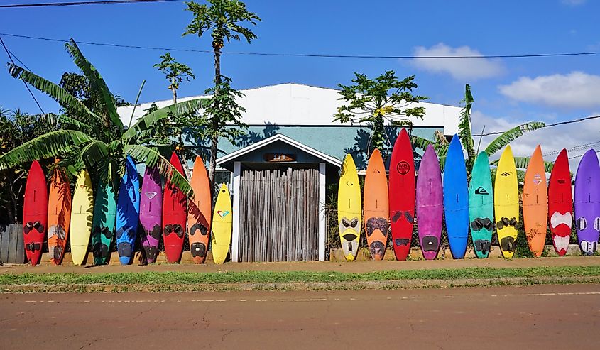 Surfboards in bright colors in Paia, Maui.