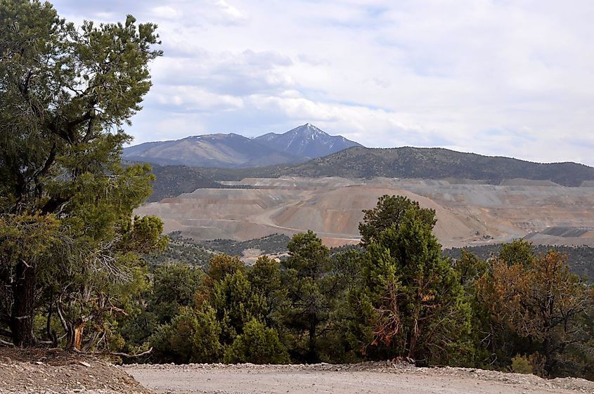 A dirt track leading to Garnet Hill in Ely, Nevada