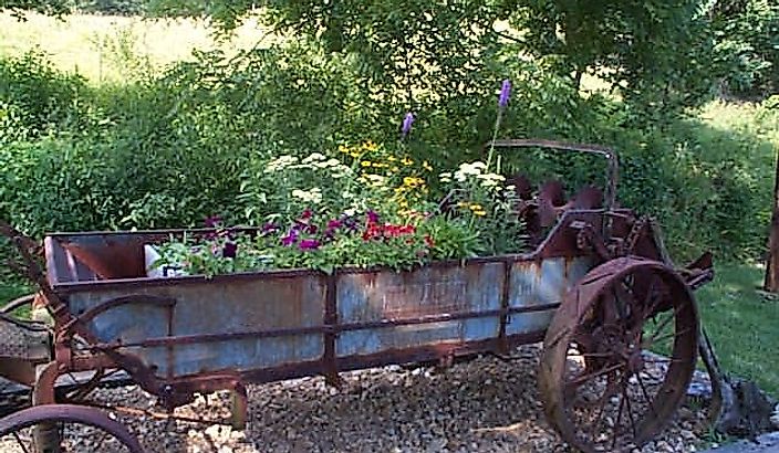 Flowers and forest area of Crystal Creek Ranch. 