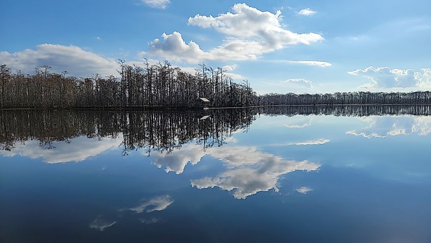 East-Vinton Sabine River Tupelo Swamp Louisiana Welcome Center.