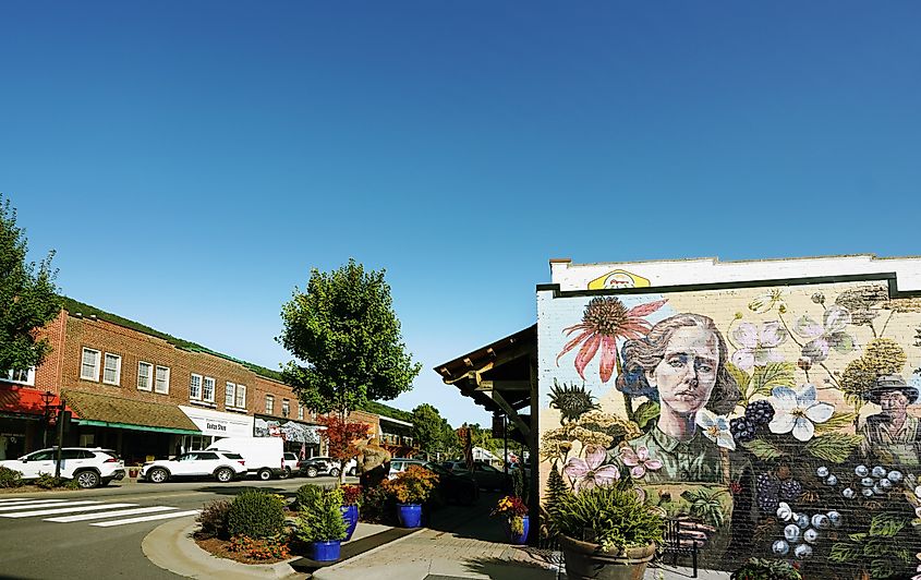 Shops and restaurants in downtown West Jefferson, North Carolina