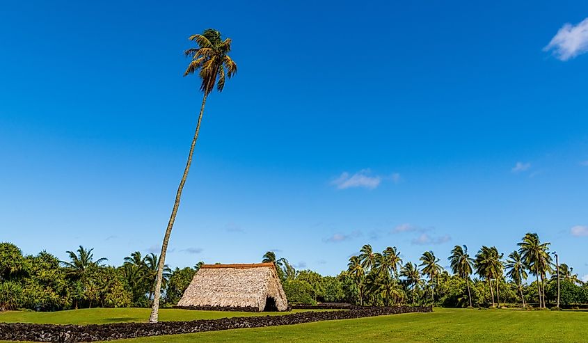 Traditional Hawaiian house with thatched roof amid a tropical landscape of palm trees at Kahanu Garden, Hana, Maui
