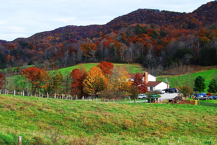 Fall colors in Blacksburg, Virginia.
