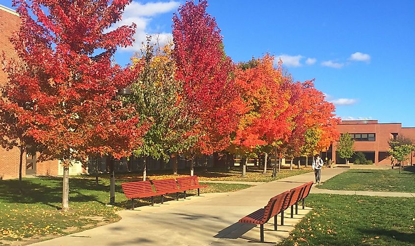 Binghamton University campus in fall