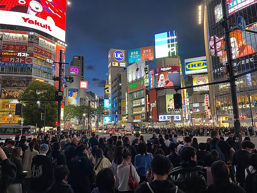 Night with thousands of people queued up at Shibuya Crossing in Tokyo
