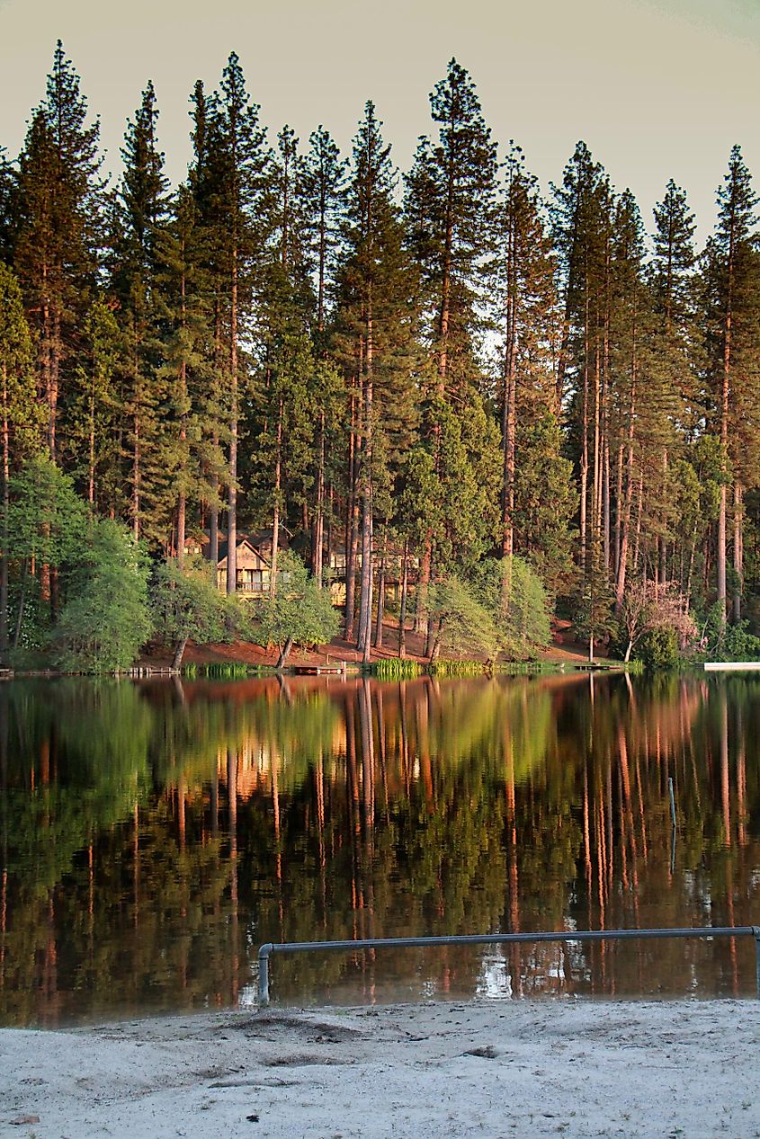 Reflections at sunset in Twain Harte, CA.