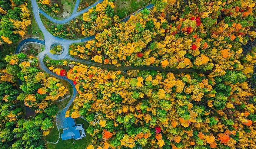 Fall foliage by Lake George at sunset. Photos are taken by drone.