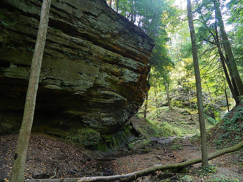 Limestone rock formations in Shades State Park, Indiana