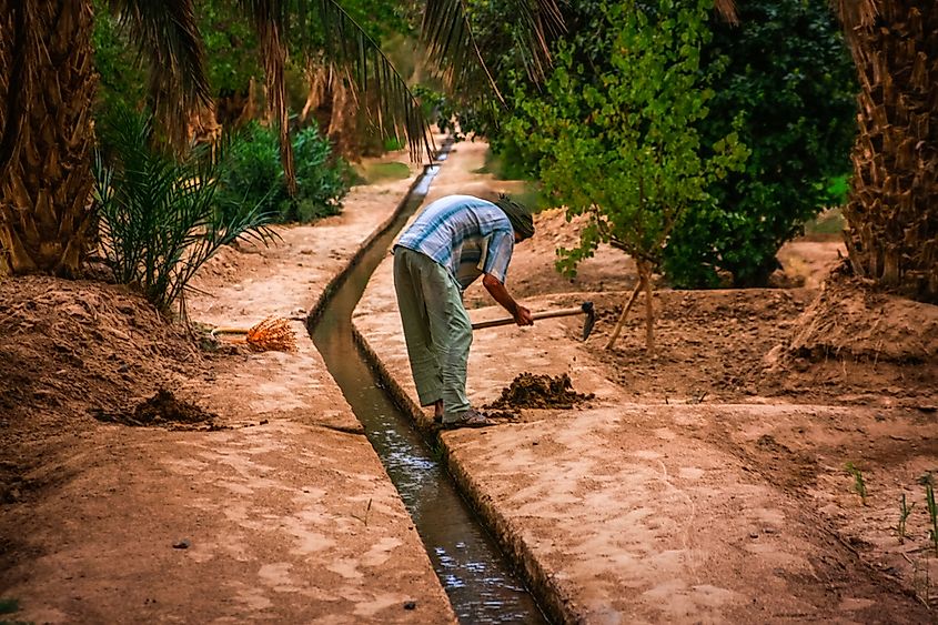 A man working on an irrigation canal in an oasis in the Sahara desert, Morocco.