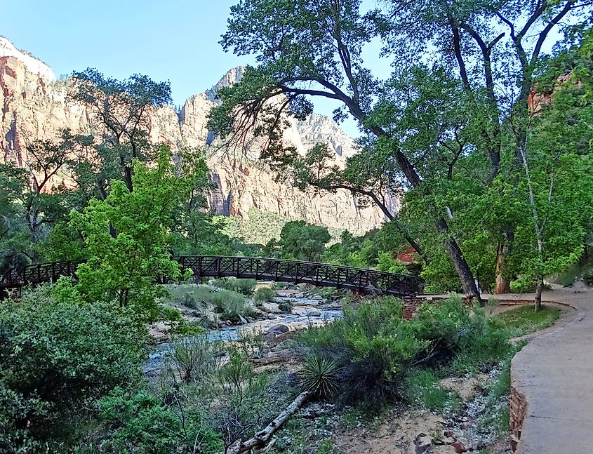 Emerald Pools Trail bridge.