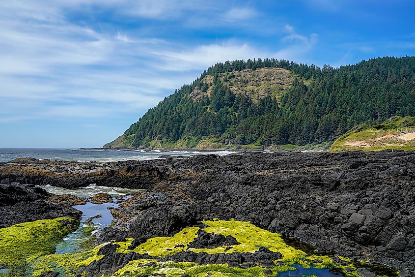 Tide pools at Cape Perpetua in Oregon, USA.