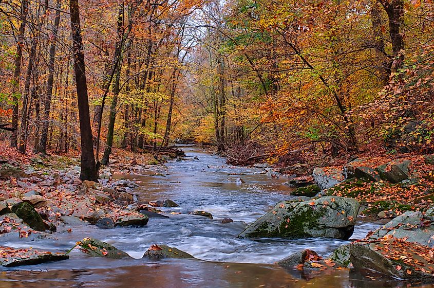 Bynum Run Creek in Bel Air, Maryland.