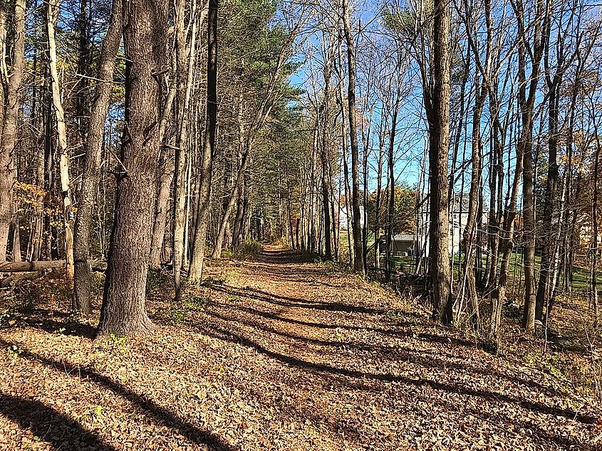 Rockingham Recreational Rail Trail, Fremont Branch.