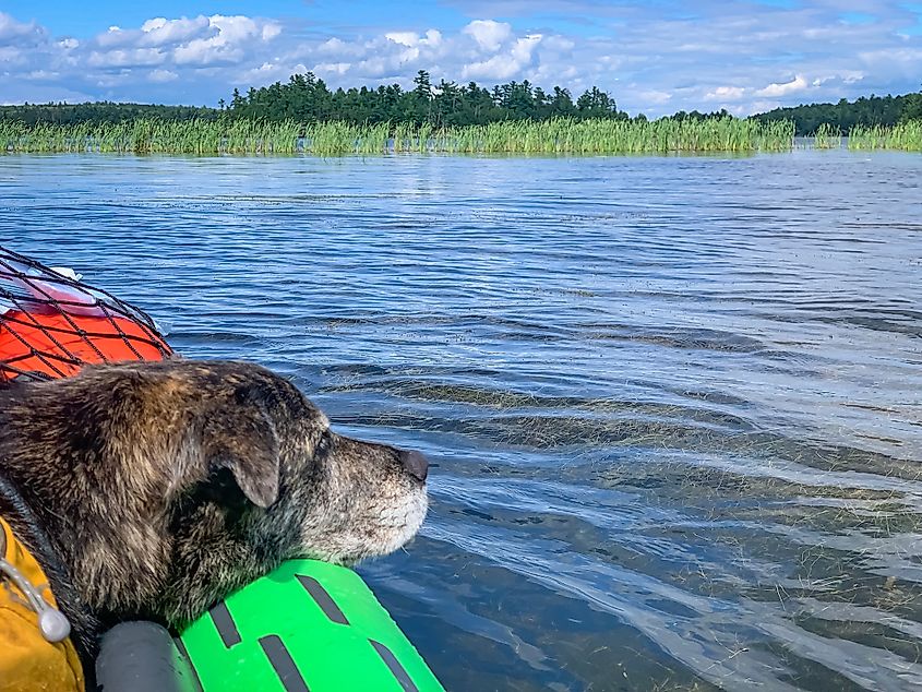 Voyageurs National Park