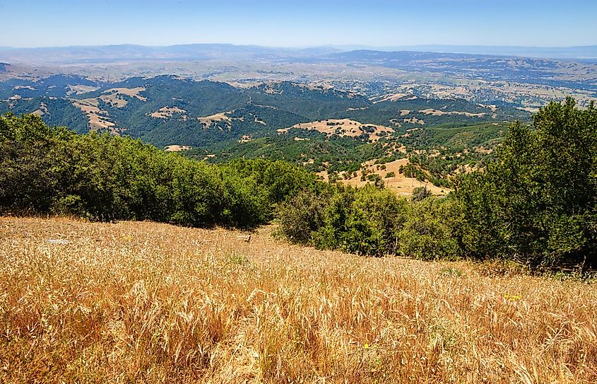 The scenic landscape of Mount Diablo State Park, California.