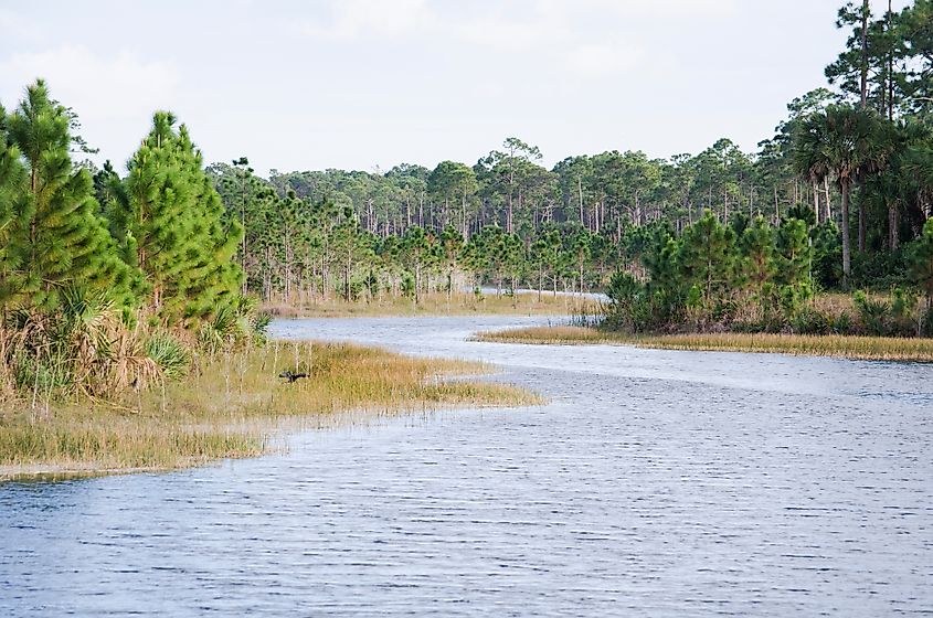 Scenic Okeeheelee Park