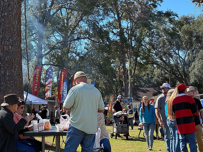 51st annual Million Pines Arts and Crafts Festival in Soperton, Georgia