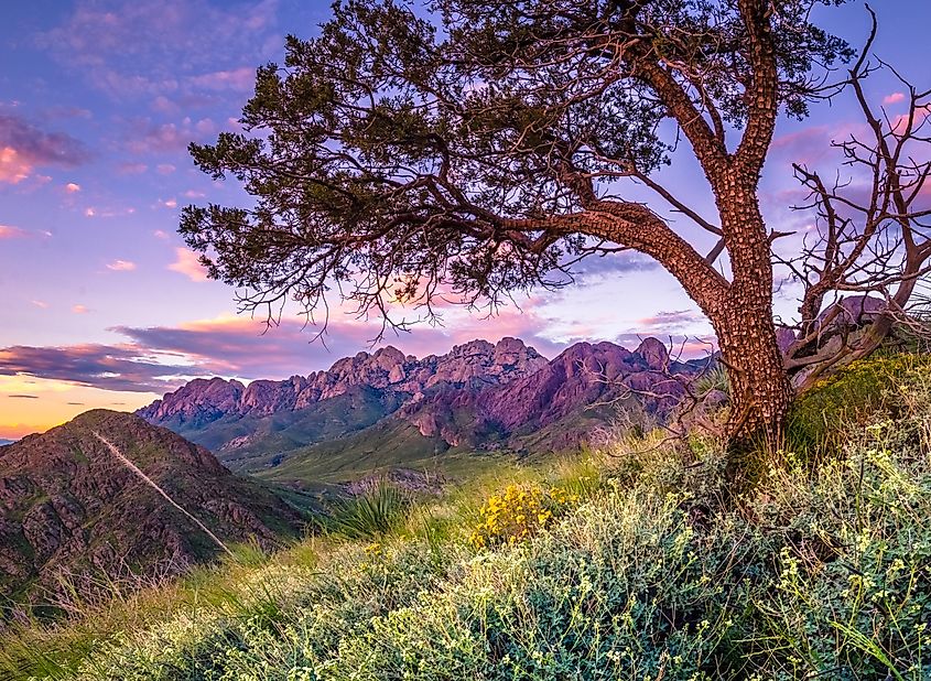 Las Cruces, New Mexico: Natural scenery.