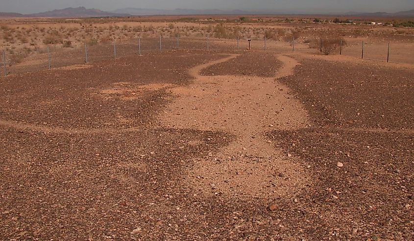 Glyphs on Desert Floor