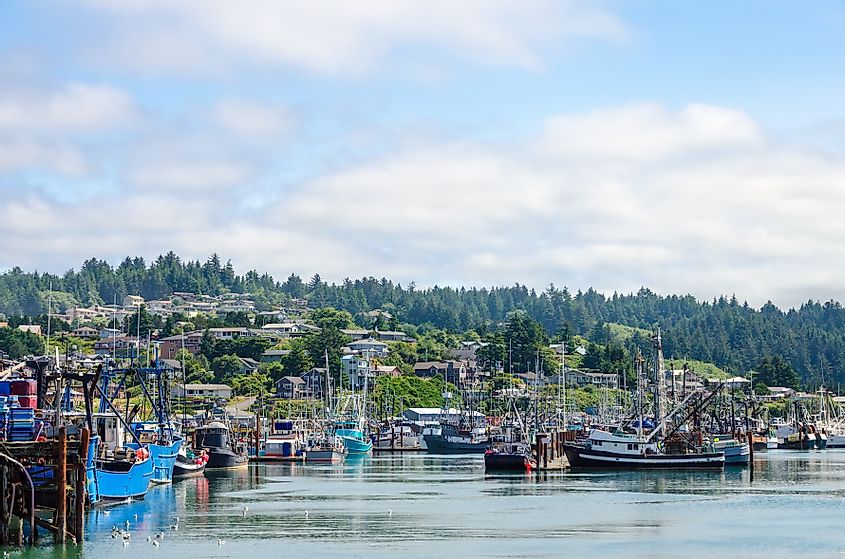 Boats and houses in Yaquina Bay in Newport, Oregon