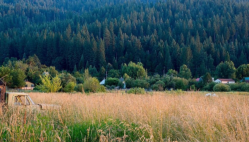 Fallow field in Quincy, Backcountry California