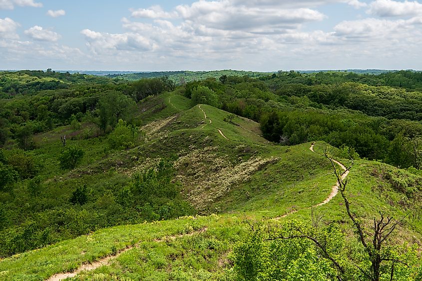Loess Hills Forest Overlook along the Preparation Loop of the Loess Hills National Scenic Byway, just outside of Preparation Canyon State Park in Monona County, Iowa.