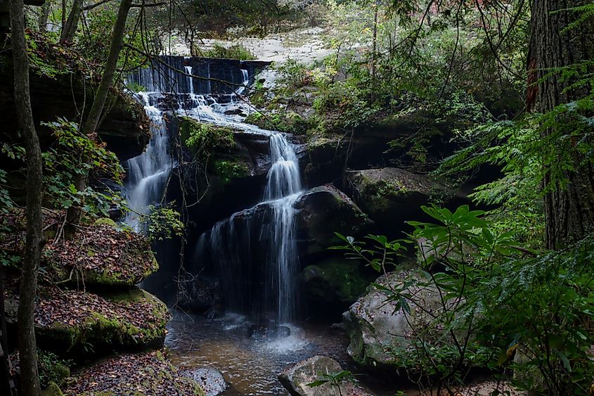 Dismal Canyon Falls in Phil Campbell.