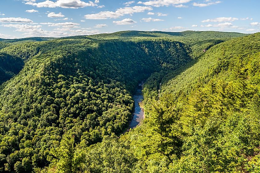 The spectacular Grand Canyon of Pennsylvania.