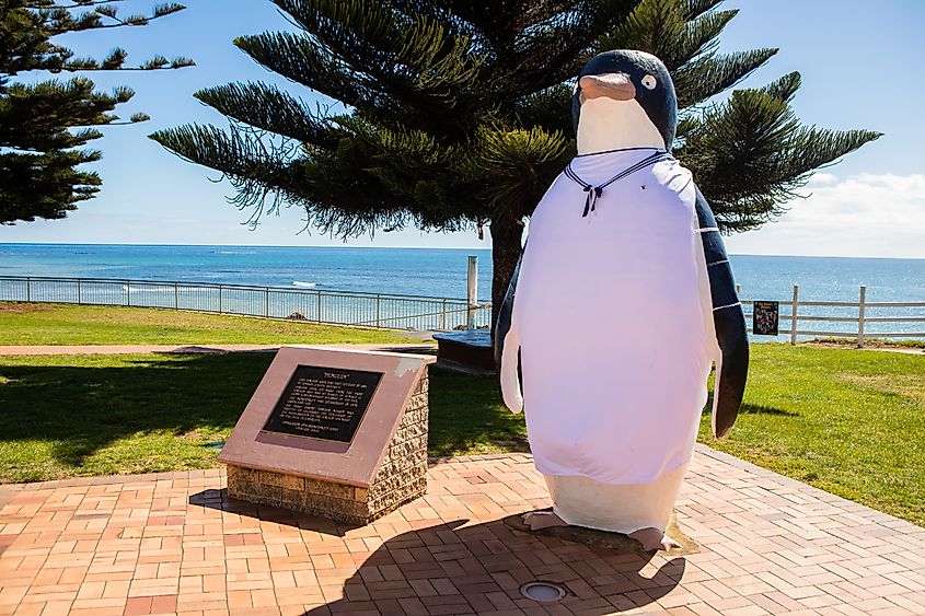 Big Penguin statue landmark in Penguin, Tasmania, Australia.