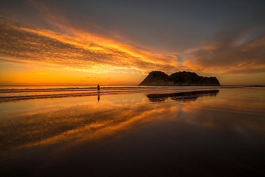 Sunrise over Whangara, Gisborne, New Zealand.