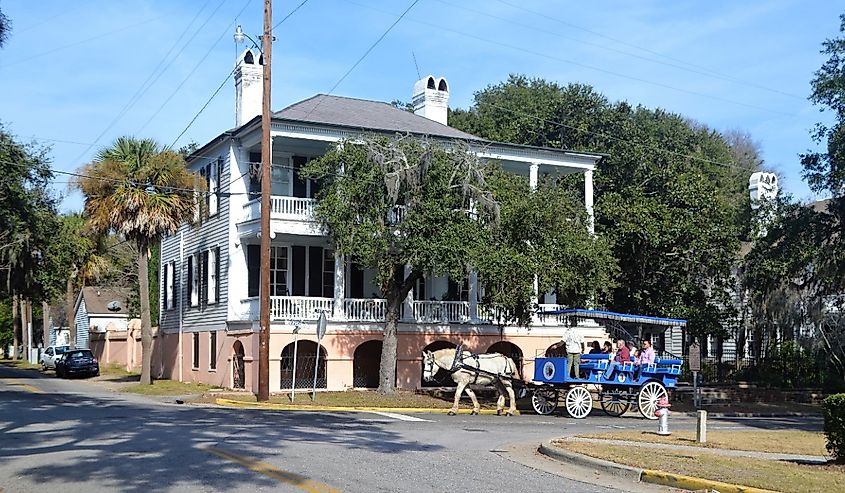 Downtown carriage rides in Beaufort, South Carolina.