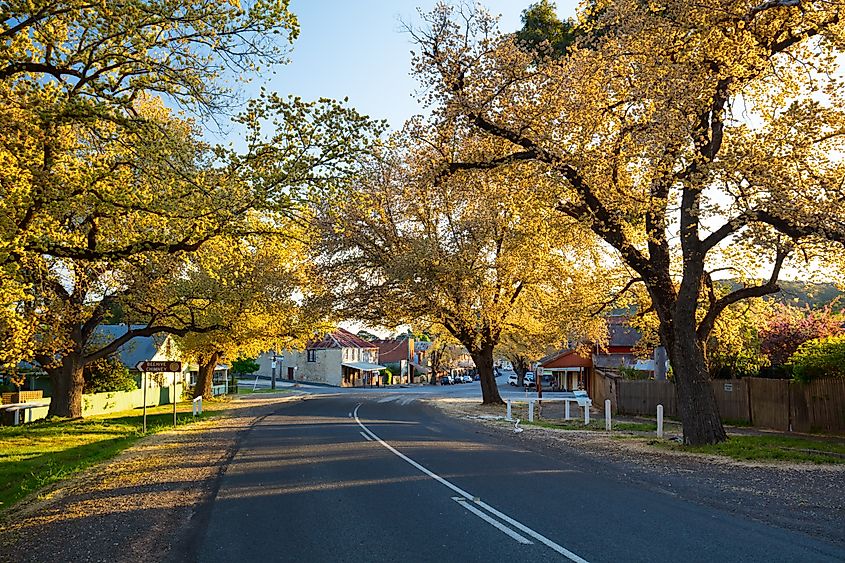 Fall colours in Maldon, Victoria.