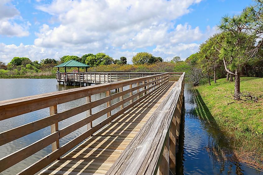 Boardwalk at Wakodahatchee Wetlands Park